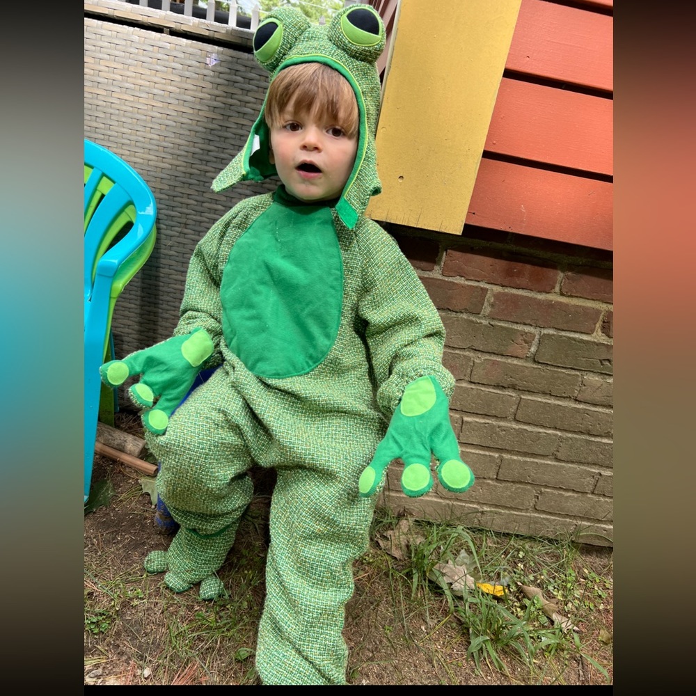 Cutest Frog costume! 2T to 4T
